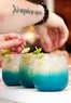 Key West Bacchanalia Coupons Key West, FL Deals