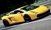 American Racing Experience Coupons Long Pond, Pennsylvania Deals