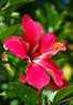 Landscape-Fusion Coupons Tampa, FL Deals