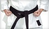 Gracie Tampa South Coupons Tampa, Florida Deals