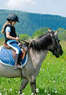 Koko Crater Stables Coupons Honolulu, HI Deals