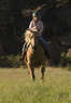 Two Hats Training Stable Coupons tucson, AZ Deals
