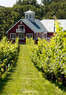 Philip Carter Winery Coupons Hume, VA Deals