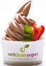 EarthFruits Yogurt Coupons University Park, FL Deals