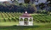 Miracle Valley Vineyard Coupons Delaplane, Virginia Deals