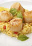 The Fox's Den Tavern Coupons Middleburg, VA Deals
