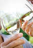 Evanston Cellars Coupons Chicago, IL Deals