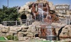 Wilderness Falls Coupons Bolingbrook, Illinois Deals
