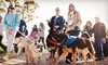 PAWS Chicago Coupons Chicago, Illinois Deals