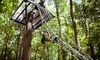Spring Mountain Adventures Coupons Collegeville, Pennsylvania Deals