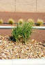 JPR Decorative Gravel Coupons Albuquerque, NM Deals