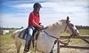 Prairie Winds Horsemanship Coupons Peyton, Colorado Deals