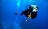 Capt. Saam's Scuba School Coupons Stamford, Connecticut Deals