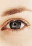  New Look Eyewear Coupons Deerfield Beach, FL Deals