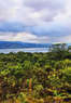 Casa Luna Hotel & Spa Coupons Catarata Río Fortuna, SI Deals