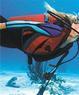 Chuck Baldwin’s US1 Scuba Coupons Pompano Beach, FL Deals