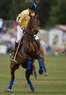 Southampton Hunt & Polo Club Coupons Water Mill, NY Deals