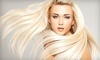 Silk the Salon Coupons Wilmington, Delaware Deals