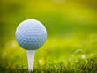 The Preserve Golf Club Coupons Bradenton, FL Deals
