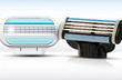 iChameleons - Razors - June 2013 Coupons Jackson, NH Deals