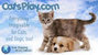 Catsplay_com