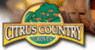 Holiday_citrus