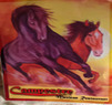 Campestre Mexican Restaurant Coupons Kansas City, MO Deals